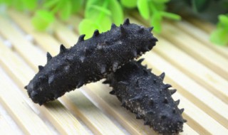 海参怎么保存方法（海参怎么样储存）