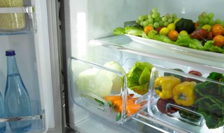 冰箱怎么保存葱段（冰箱怎么保存葱段不变质）