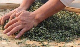 生普洱怎么保存好（普洱生普怎么保存）