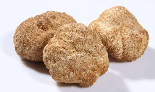 猴头怎么保存方法 猴头怎么保鲜