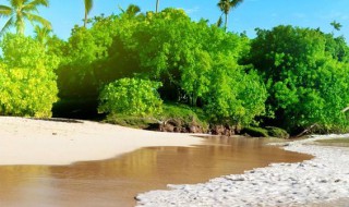 时间与人生感悟（时间与人生感悟的名句）