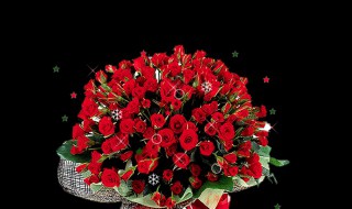 给女朋友买什么礼物好 男朋友给女朋友买什么礼物好