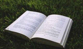 魅力女人格言 魅力女人格言有档次的