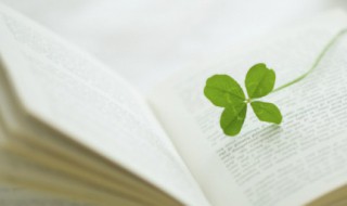 诗和远方的励志句子 诗和远方的励志句子图片