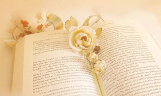 青春奋斗梦想励志句子 心中有光,脚下有路,梦想终将绽放