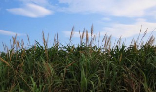一场秋雨一场寒的说说（一场秋雨一场寒的说说心情短语）