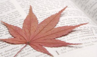 减肥励志的句子 减肥励志的句子经典语句简短