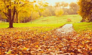 秋天伤感的句子（秋天伤感的句子短句唯美爱情）