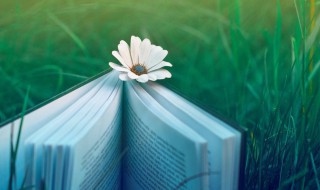 勇往直前的励志句子 少年勇往直前的励志句子