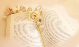 辛苦付出有收获的句子 辛苦付出有收获的句子简短