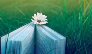 心灵鸡汤短句（女生心灵鸡汤短句）