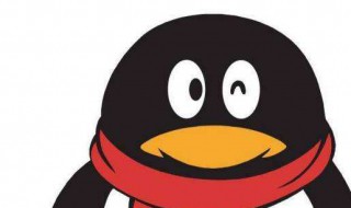 qq群号在哪里看(qq群号在哪里看得到)