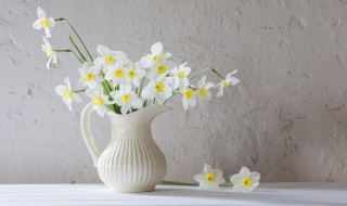 晒花怎么文字发朋友圈(晒花怎么文字发朋友圈简短)