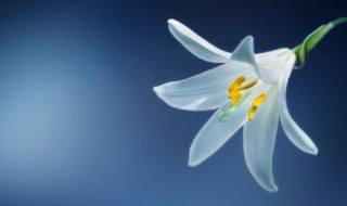 吃一堑长一智人生感悟(吃一堑长一智人生感悟朋友圈)