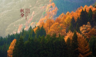 秋分谚语(秋分谚语大全)