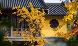 几月几号秋分（几月几号秋分?）