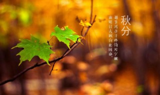 秋分是什么季节 秋分是什么季节怎么意思