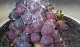 葡萄怎么洗才能洗干净 葡萄怎么洗才能洗干净图片