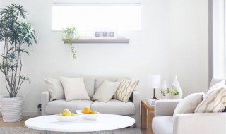 室内除甲醛最好的方法（室内除甲醛最好的方法或者植物是什么）