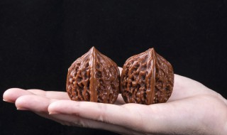 手捻核桃怎么选（手捻核桃选什么品种）