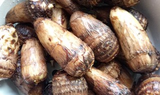 吃芋头的好处和坏处（女性吃芋头的好处和坏处）