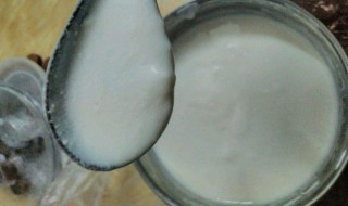 做酸奶的制作方法 纯牛奶做酸奶的制作方法