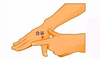 防晕车最有效的方法 怎样预防晕车最有效的方法