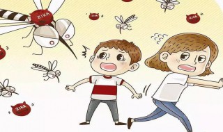 杀蚊子最好的方法（晚上杀蚊子最好的方法）