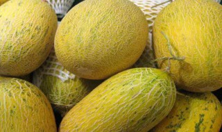 哈密瓜怎么调挑 哈密瓜 挑