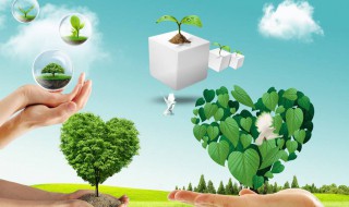 节约用纸的宣传语 公司节约用纸的宣传语