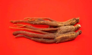 当参的功效与作用及食用方法 当参功效和作用是什么