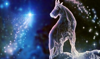 摩羯女跟什么星座最配（摩羯女跟什么星座最配呀）