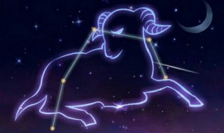 双子座和什么星座最配 双子座和什么星座最配做闺蜜