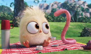 蚯蚓怎么养殖(蚯蚓怎么养殖又红又腥)