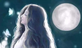 白月光指的是什么人 朱砂痣和白月光的含义