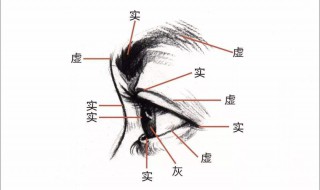 五官指的是哪五官(五官指的是哪五官?)