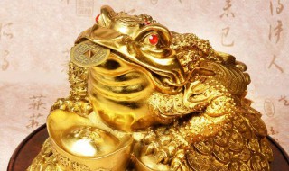 如何转运（如何转运啊点太背了）