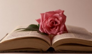 感悟生死的经典句子 感悟生死的经典句子意外与明天