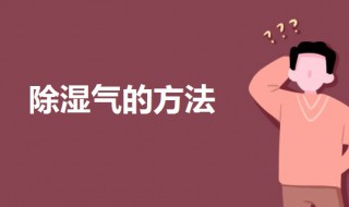 如何除湿气 如何除湿气体内的