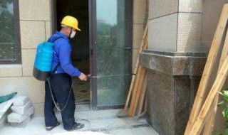 如何预防白蚁 如何预防白蚁飞进房间