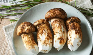 松茸如何保存（新鲜松茸如何保存）