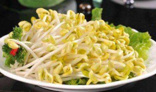 在家如何生黄豆芽 在家如何生黄豆芽视频