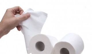 女性应怎么选择厕纸 女性应怎么选择厕纸和纸巾