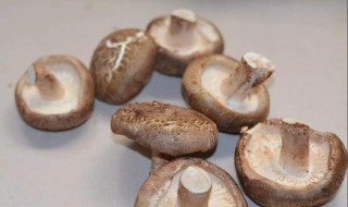 菘茸怎么保存 松茸怎么保鲜