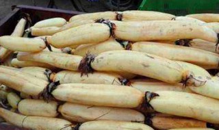 莲藕怎么保存最久（莲藕怎么保存最久不烂）