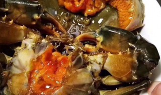 青膏蟹该怎么保存 青膏蟹该怎么保存好