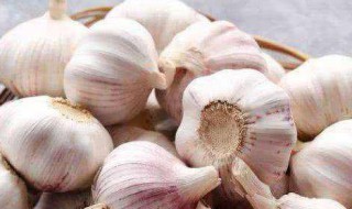当年新蒜怎么保存 当年新蒜怎么保存时间长