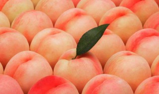 夏天桃子怎么保存 夏天桃子怎么保存时间长