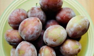 西梅夏天怎么保存 西梅如何存放