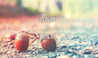 半夜发朋友圈的短句子 加班半夜发朋友圈的短句子